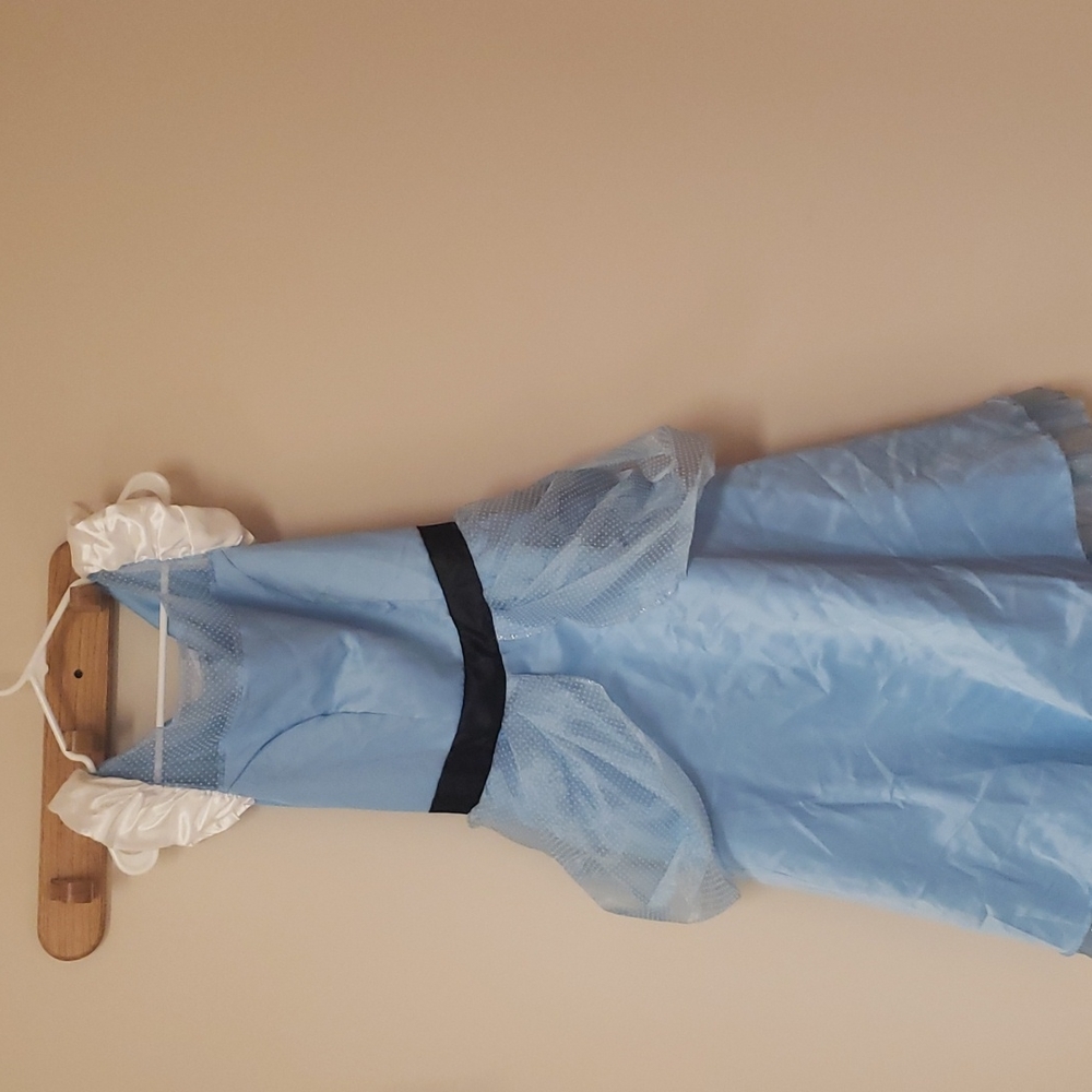 Disney Cinderella Costume
